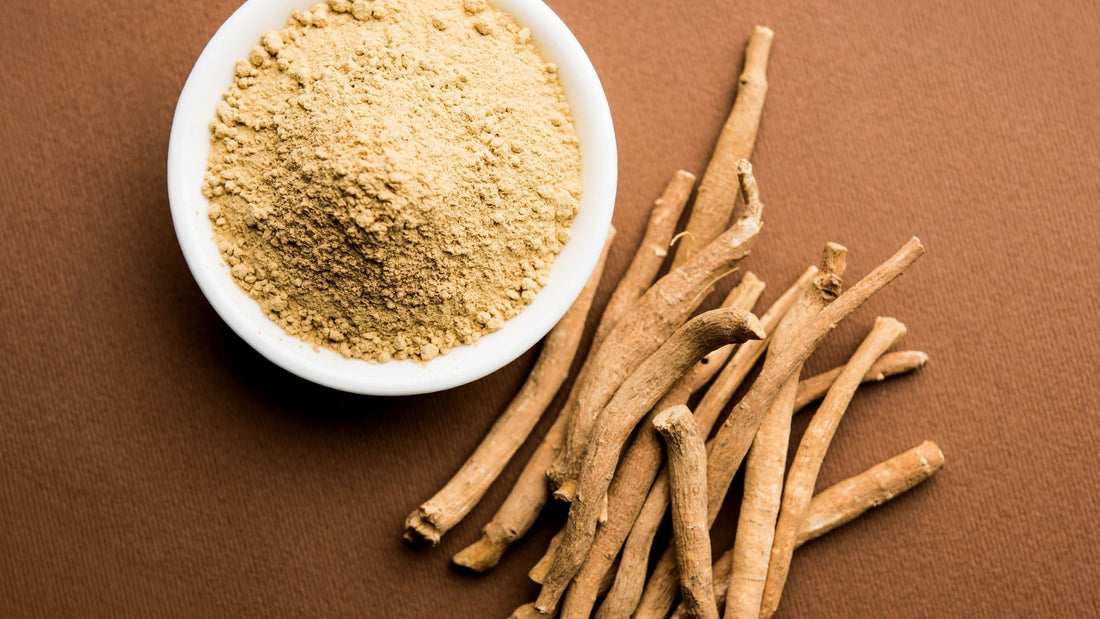Ashwagandha: una planta medicinal para el bienestar físico y mental