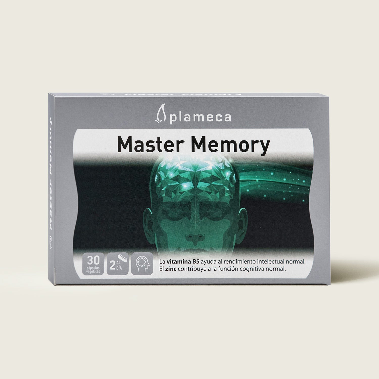 Master Memory