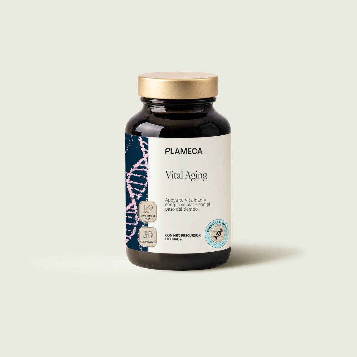 Vital Aging