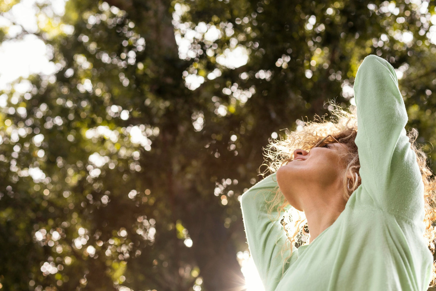 Plameca