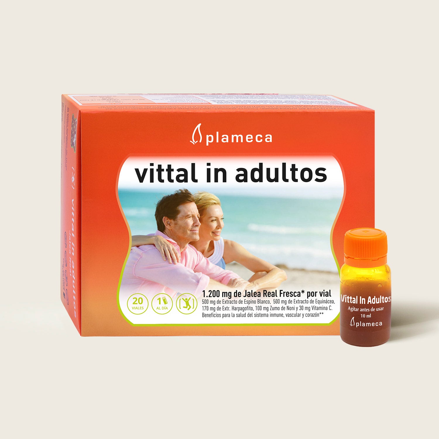 Vittal In Adultos